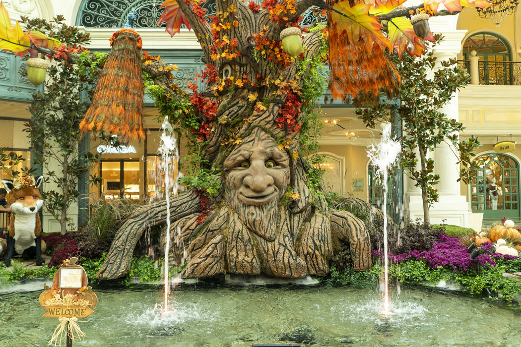 Things to do in las Vegas