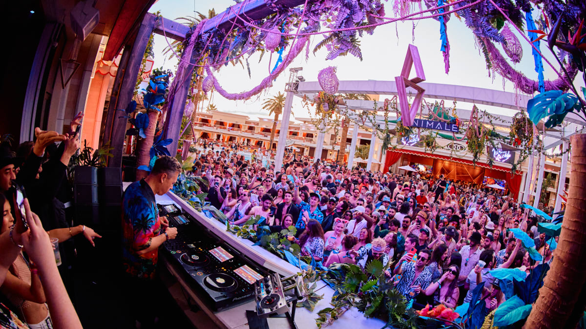 music festival 2024
