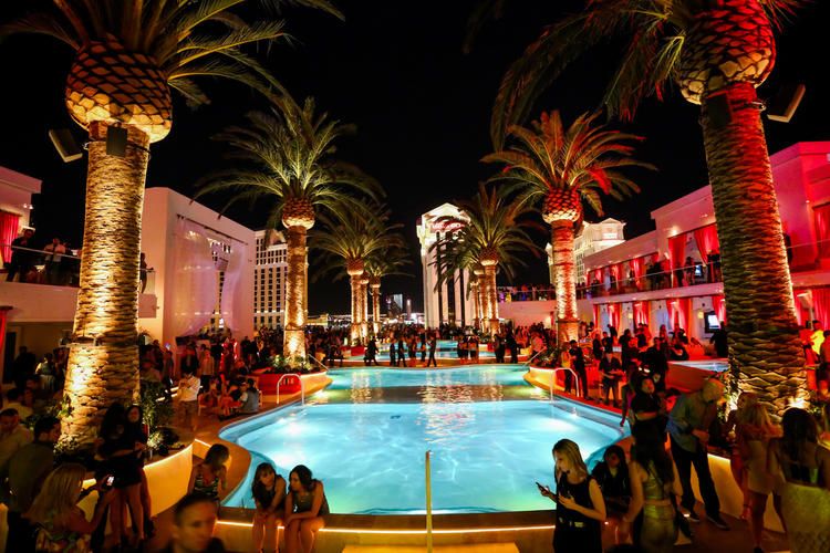 Las Vegas Shows