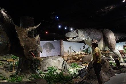 Things to do in las Vegas